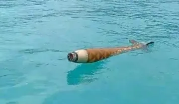 Denizde şok görüntü! Şüpheli cisim incelemeye alındı