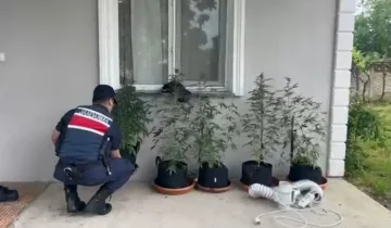 Evine özel sistem kurdu! Jandarma baskınıyla yakalandı