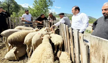 Hanönü’nde bayram hareketliliği: Başkan Yamalı’dan pazar ve esnaf ziyareti