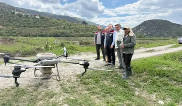 Hanönü ve Tosya'da çeltikleri bu yıl dronlar toprakla buluşturdu