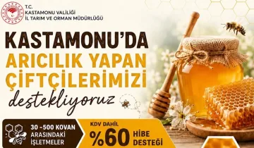 Kastamonu’da arıcılara müjde: Yüzde 60 hibe