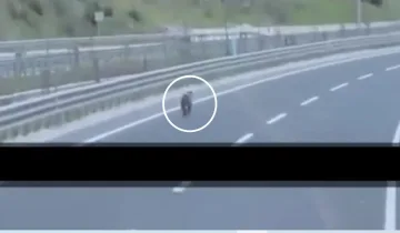 Kastamonu’da beklenmedik karşılaşma