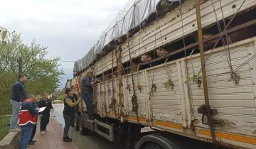 Kastamonu’da durduruldular: Sevkiyatta sıkı denetim
