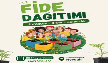 Kastamonu’da fide seferberliği: Ücretsiz dağıtım yapılacak