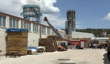 Kastamonu'da OSB'de fabrika yangını: Talaş silosu alevlere teslim oldu