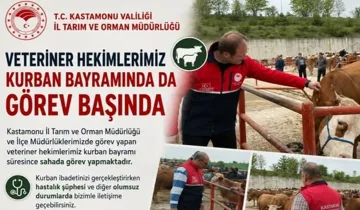 Kastamonu'da veteriner hekimler bayramda görevde