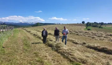 Kastamonu’da yem bitkileri ekiliş alanlarında kontroller başladı