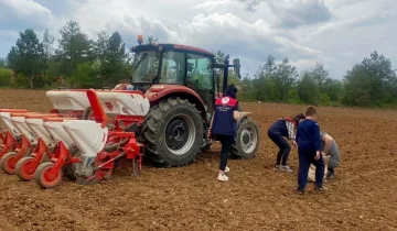 Kastamonu’da yerli ayçiçeği tohumu için deneme ekimi yapıldı
