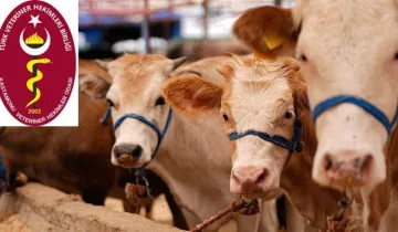 Kastamonu Veteriner Hekimler Odası’ndan kurban bayramı öncesi kritik uyarılar