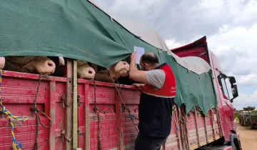 Kastamonulu besiciler dikkat: Cezası 7 bin 863 lira ceza!