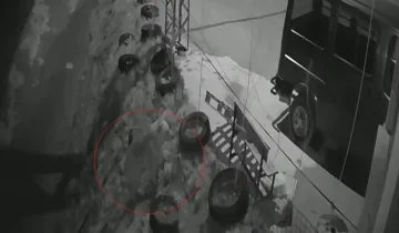 Köyde şok görüntü! Gece yarısı köye inen ayı kameraya yakalandı