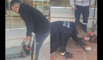 Taşköprü’de bina boşluğuna düşen kedi için zamanla yarış