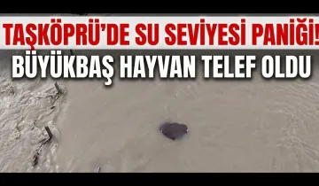 Taşköprü’de su seviyesi paniği! Büyükbaş hayvan telef oldu