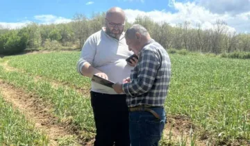 Taşköprü Sarımsağını dolu vurdu: Hasar büyük
