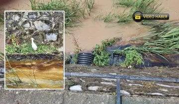 Yeni detaylar geldi: Kastamonu’dan Karadeniz’e kimyasal aktı!