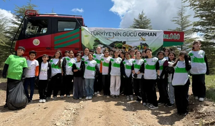 81 İlde orman seferberliği: Tonlarca atık toplandı
