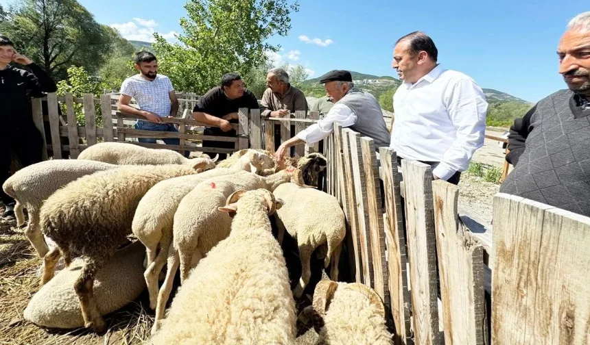 Hanönü’nde bayram hareketliliği: Başkan Yamalı’dan pazar ve esnaf ziyareti