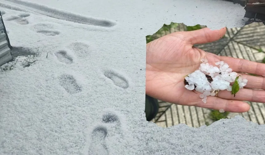 Kastamonu’da dolu tarımı vurdu: Hasar tespiti başlıyor