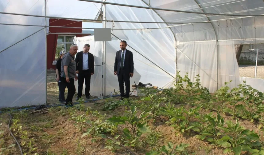Kastamonu'da KUZKA'dan, Şeker Fabrikasında engelli bireyler için yeni hamle