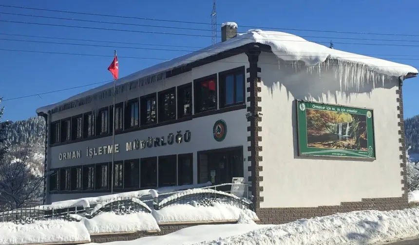 KASTAMONU ORMAN BÖLGE MÜDÜRLÜĞÜ KÜRE ORMAN İŞLETME MÜDÜRLÜĞÜ