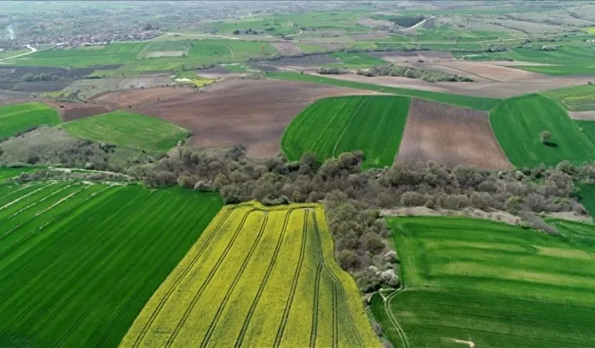 Tarla ve bahçe fiyatlarında yavaşlama dikkat çekiyor