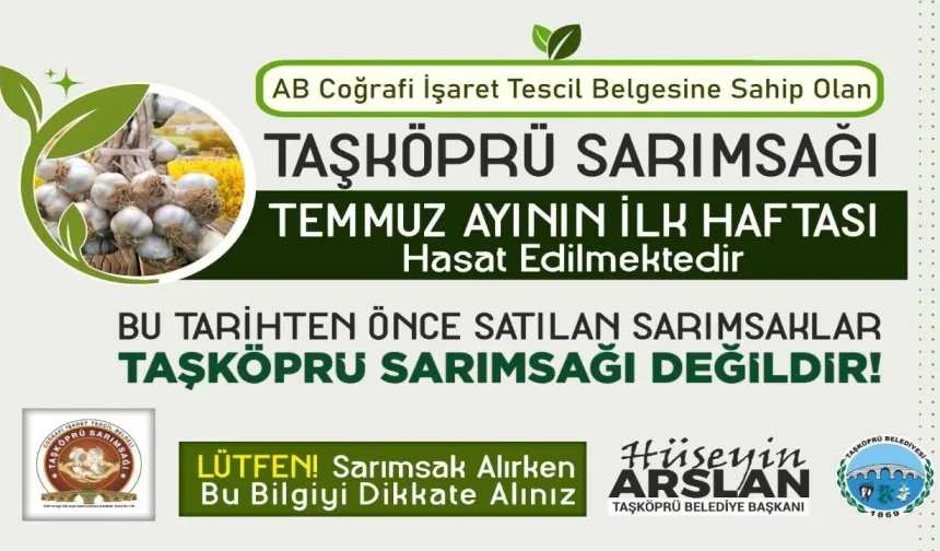 Taşköprü sarımsağı için kritik uyarı: Hasat öncesi ürünlere dikkat