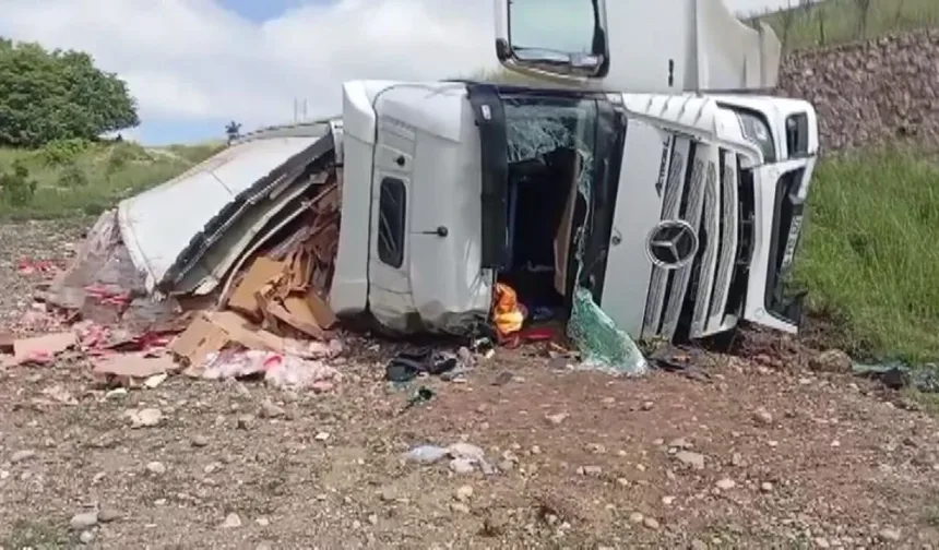 Tavuk yüklü tır şarampole yuvarlandı