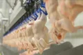Dört beyaz et şirketi için kayyum kararı iptal edildi