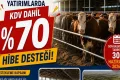 Kastamonu'da yatırım müjdesi: Yüzde 70'i hibe olacak