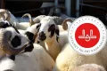 Kastamonu Müftülüğünden teşekkür: Vekâlette örnek dayanışma