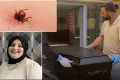 Kene kabusu yine can aldı: Kastamonu’da riskli iller arasında!