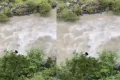 Otomobil Çoruh Nehri’ne gömüldü: Ekipler baba ve oğul için seferber oldu