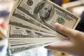 Piyasaları şaşırtan senaryo! Dolar için 'Geri Dönüş Yok' raporu